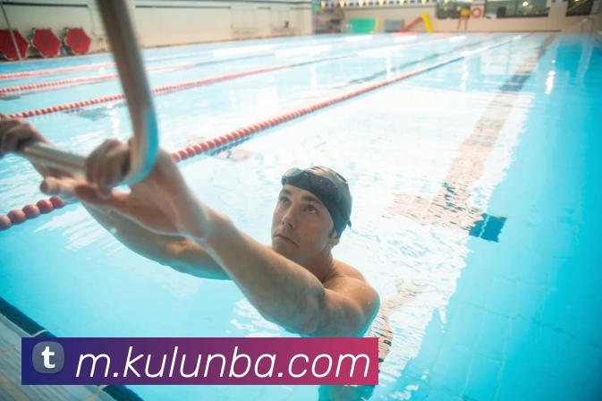 nba投注网站平台生态图